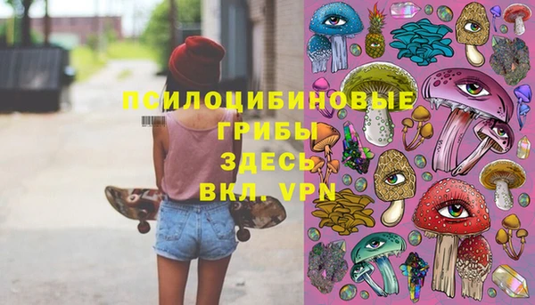 гидра Кулебаки