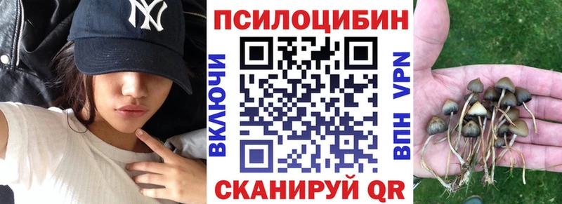 Купить закладки Красноармейск Псилоцибиновые грибы GOLDEN TEACHER